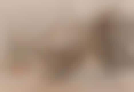 Terribly Tragic Blogs