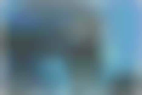 Trippy Tribute Parks