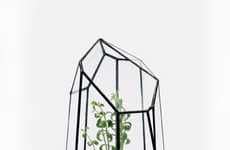 Geometric Grass Growers