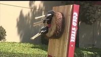 Badass Garden Weaponry Image 5