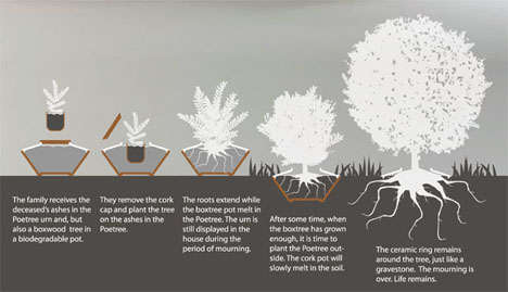Creative Cremation Cultivation