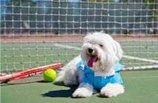 Preppy Pooch Products