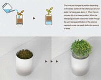 Dehydrated Flower Pots Image 3