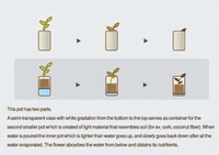 Dehydrated Flower Pots Image 5