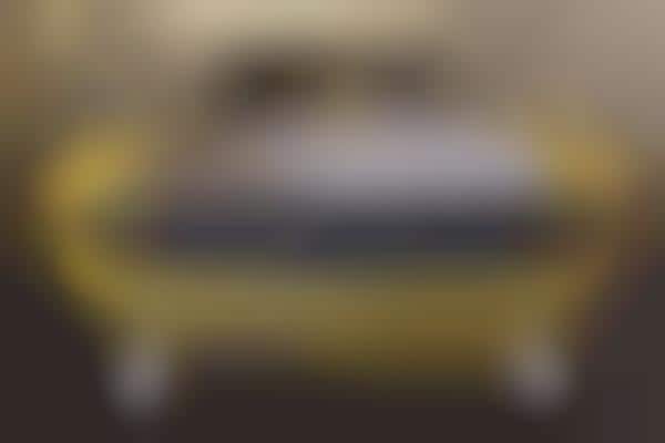 Paper-Produced Automobiles