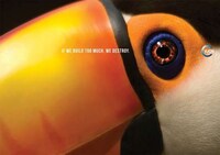 Ecological Insight Advertising Image 2