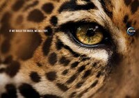 Ecological Insight Advertising Image 3