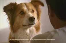 Pet-Attracting Advertising