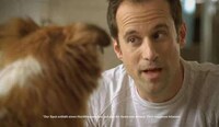 Pet-Attracting Advertising Image 3