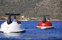 Open Water Bumper Boats Image 6