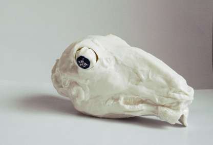 Functional Carcass Vessels