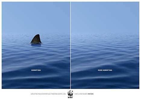 Chilling Conservation Campaigns
