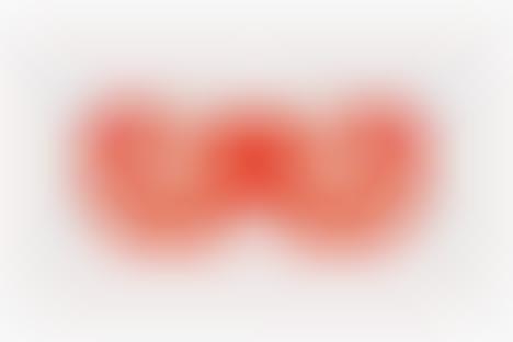 Crystallized Designer Shades