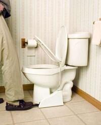 Lavatory-Lifting Mechanisms