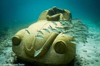 Buried Marine Museums (UPDATE) Image 3