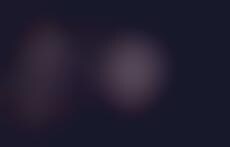 Scandalous Sheer Ensembles : NYC Sex Trash 2011