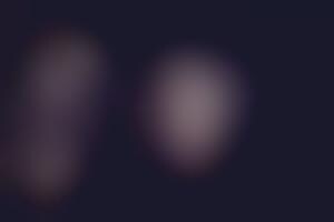 Scandalous Sheer Ensembles : NYC Sex Trash 2011