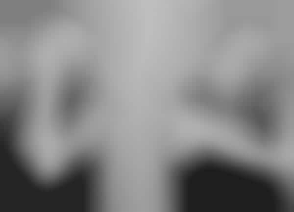 Mirrored Melancholic Captures