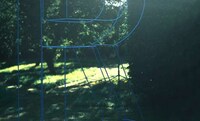 Giant Garden Typography Image 2