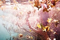 Haunting Underwater Photography Image 4