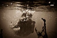 Haunting Underwater Photography Image 5