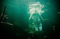 Haunting Underwater Photography Image 7