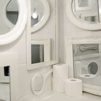 Narcissistic Restroom Interiors Image 3