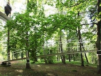 Winding Woods Walkways Image 4