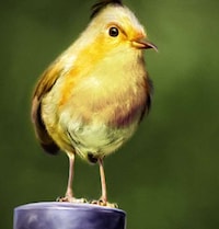 Hyper-Real Raging Avians Image 2