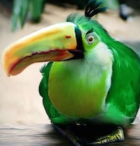 Hyper-Real Raging Avians Image 5