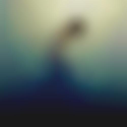 Foggy Festering Photography