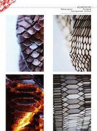 Recycled Reptilian Fashion Image 4
