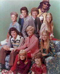 Rap Icon Sitcom Stars Image 2