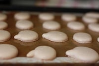 Gourd-geously Sweet Treats Image 3