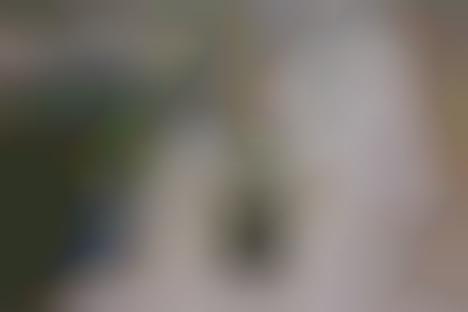 Love Story Champagnes