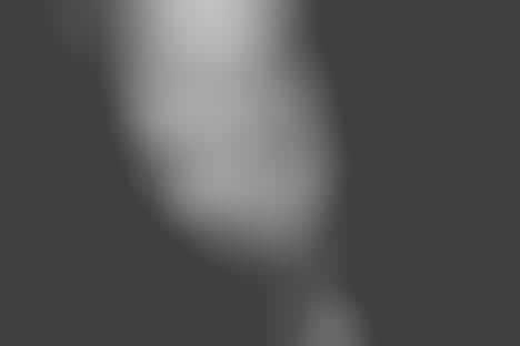 Rebellious Nude Captures 