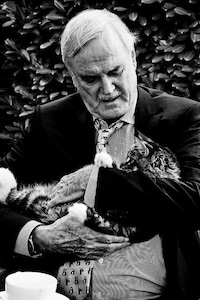 Famous Kitty-Toting Blogs Image 4