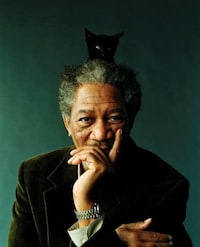 Famous Kitty-Toting Blogs Image 5