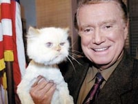 Famous Kitty-Toting Blogs Image 6