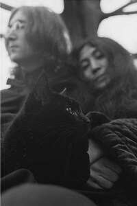 Famous Kitty-Toting Blogs Image 8