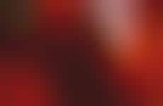 Toronto Editorial Internships