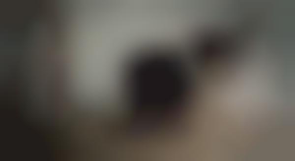 Time Lapse Canine Campaigns