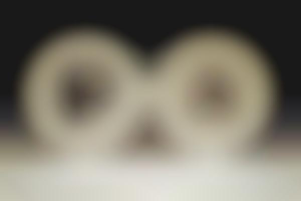 Illustrated Skeletal Dinnerware