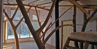 Arboreal Abodes