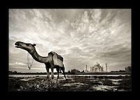 Wonders of the World Captures Image 6