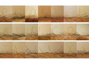 Limb Tress Lettering: The Mayuko Kanazawa Leg Hair Font is ...