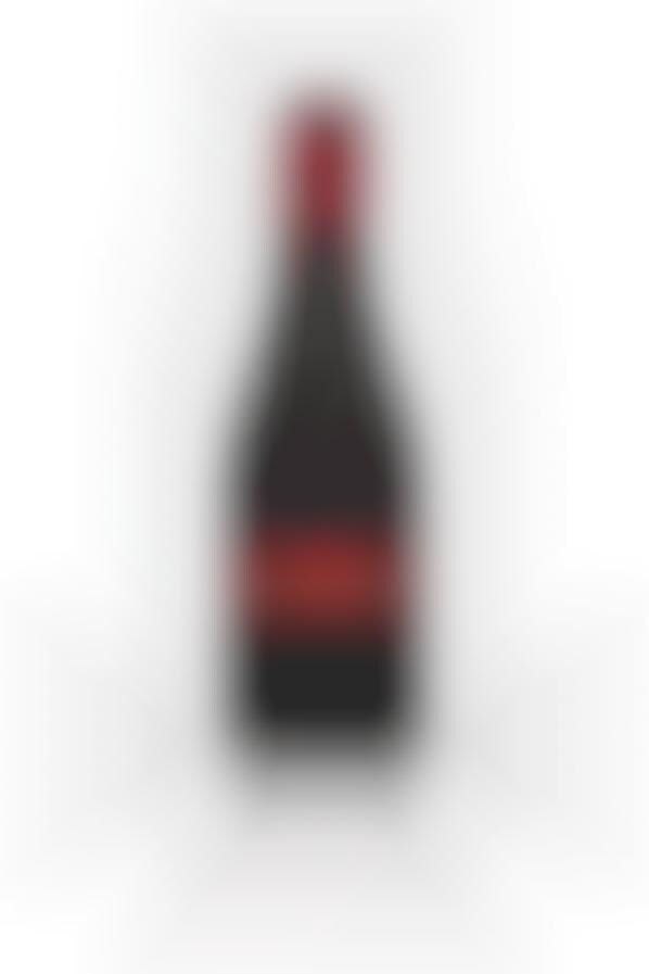 Fishnet Champagne Bottles
