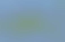 Illustrated Electronic Evolutions