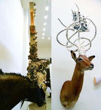 Fearsome Golden Antlers Image 8