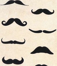 Hairy Holiday Wrappers Image 2